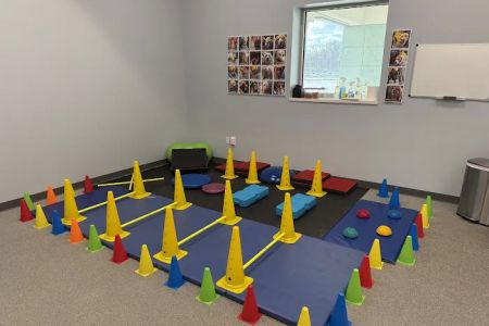 Alpha Animal Rehabilitation and Fitness