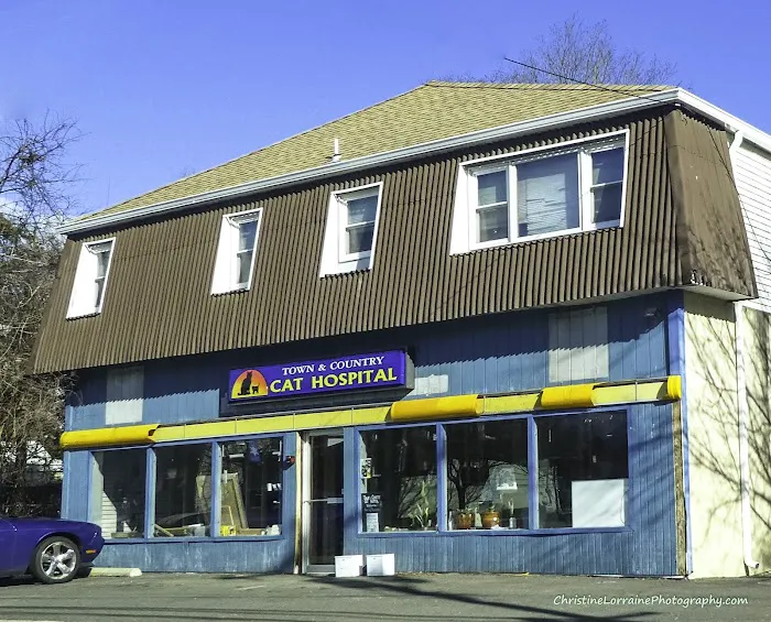 Town & Country Veterinary Cat Hospital 12