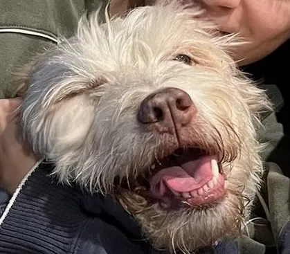 Animal Care Center of North Jersey 2