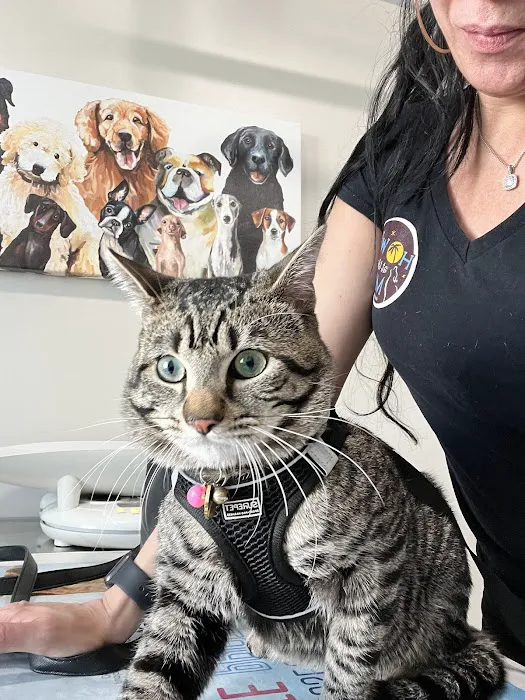 Animal Care Center of North Jersey 1