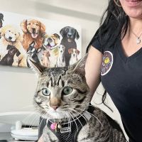 Animal Care Center of North Jersey ico