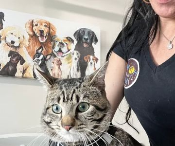 Animal Care Center of North Jersey