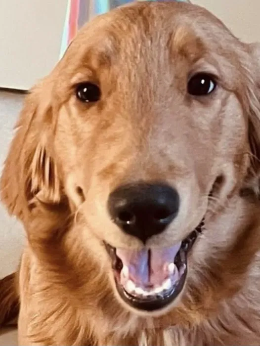 Animal Care Center of North Jersey 3