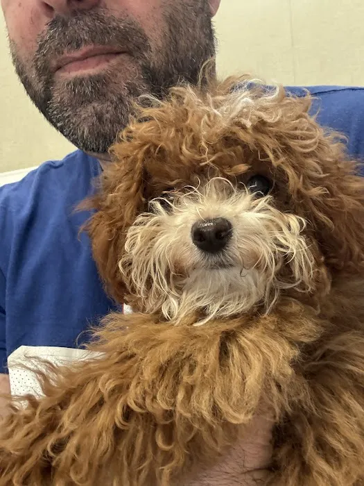 Pompton Lakes Animal Hospital 6