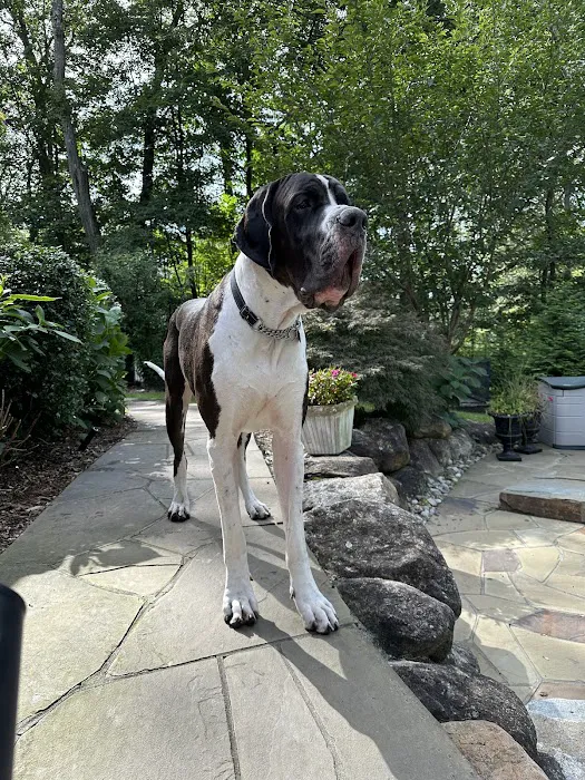Pompton Lakes Animal Hospital 8