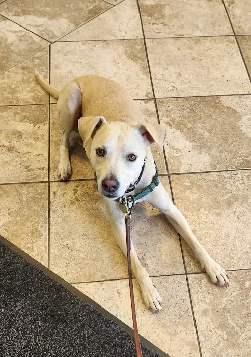Pompton Lakes Animal Hospital 3