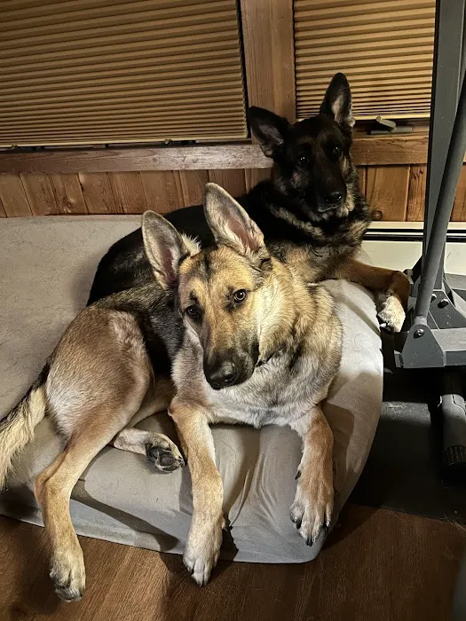 Pompton Lakes Animal Hospital 10