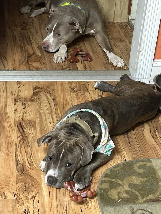 Pompton Lakes Animal Hospital 5