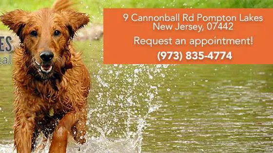 Pompton Lakes Animal Hospital 9