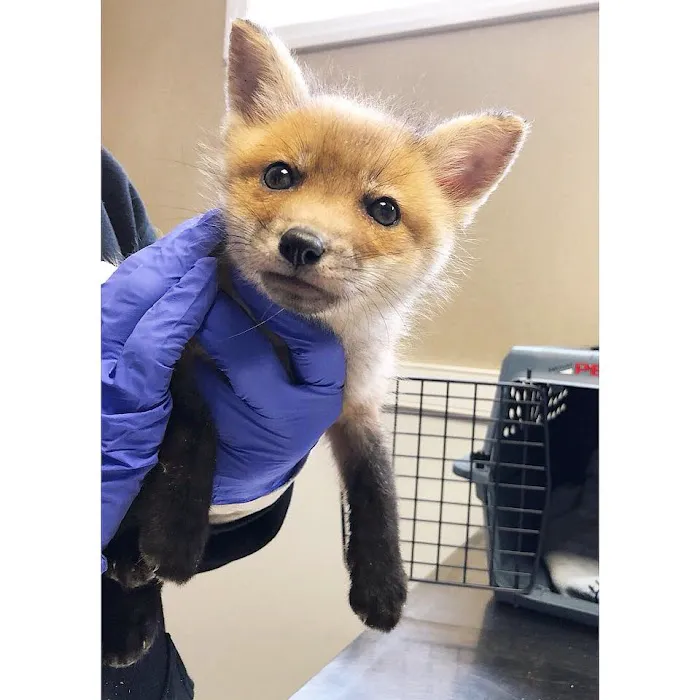 Pompton Lakes Animal Hospital 4