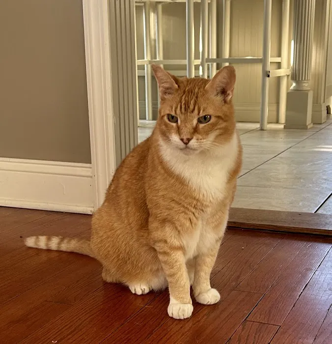 Butler Veterinary Hospital 8