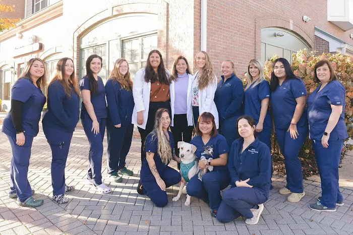 Butler Veterinary Hospital 6