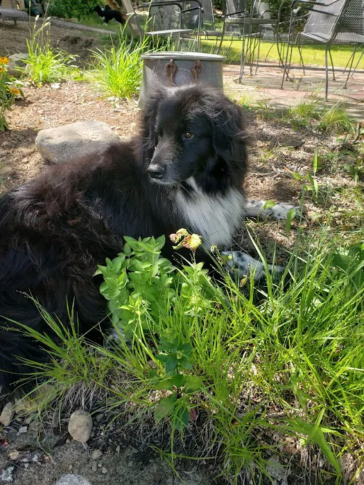 Butler Veterinary Hospital 9