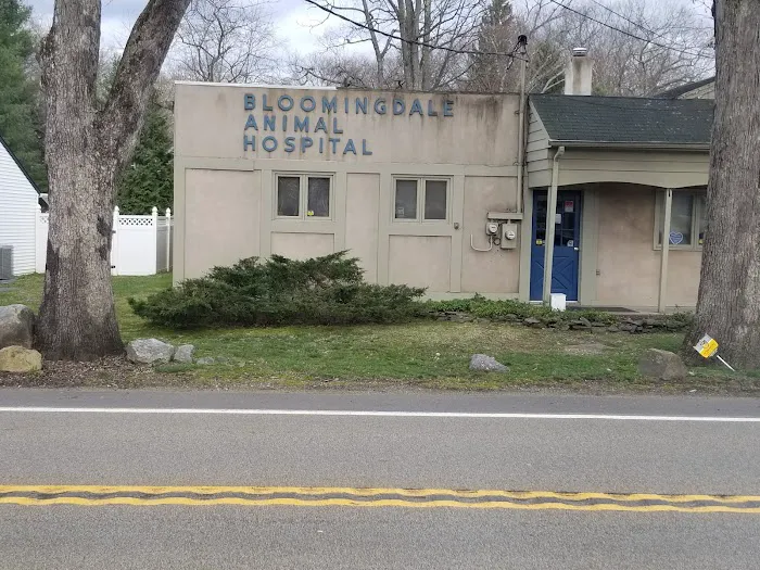Bloomingdale Animal Hospital 7
