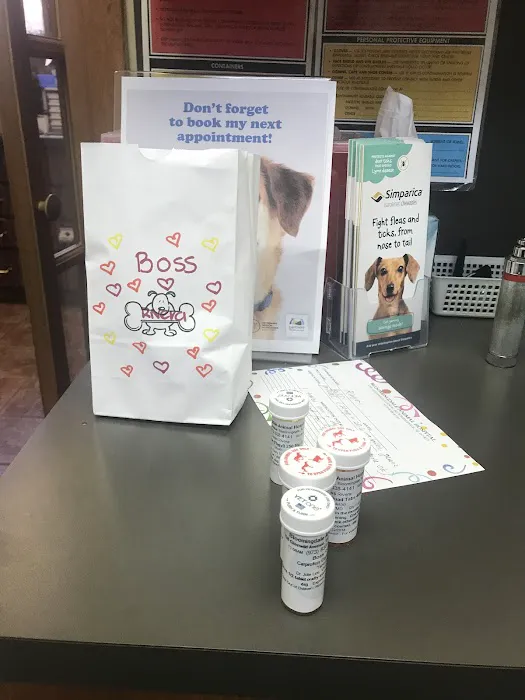 Bloomingdale Animal Hospital 5