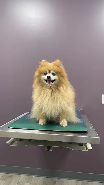 North Jersey Veterinary Hospital 1