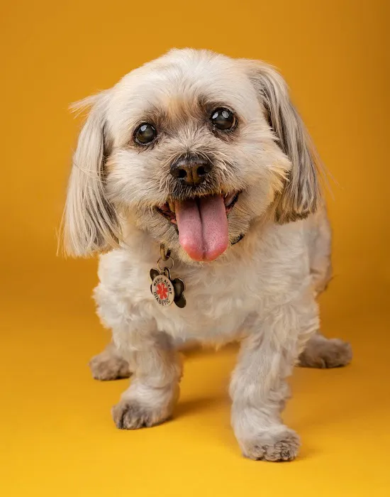 North Jersey Veterinary Hospital 9