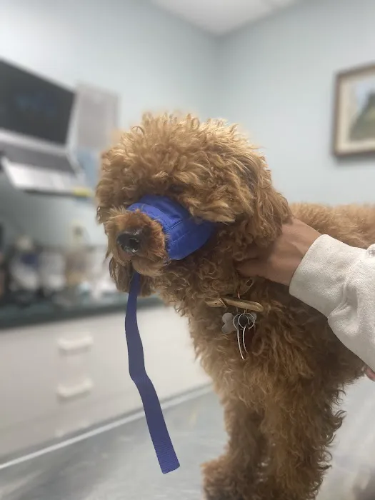 North Haledon Veterinary Care 12
