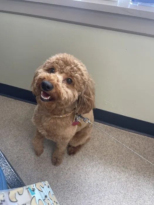 North Haledon Veterinary Care 12