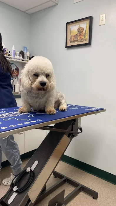 North Haledon Veterinary Care 12
