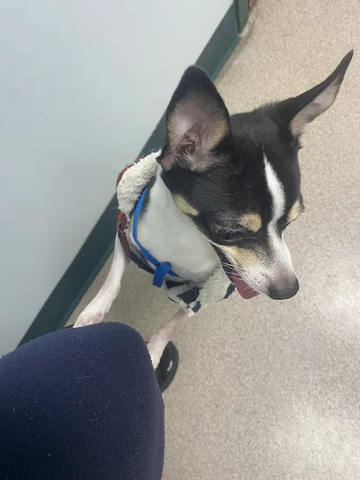 North Haledon Veterinary Care 12