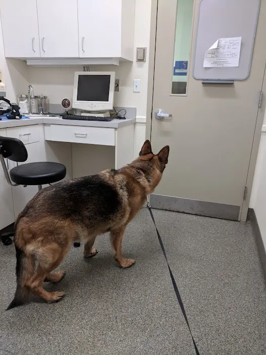 Animal Eye Center of New Jersey 12