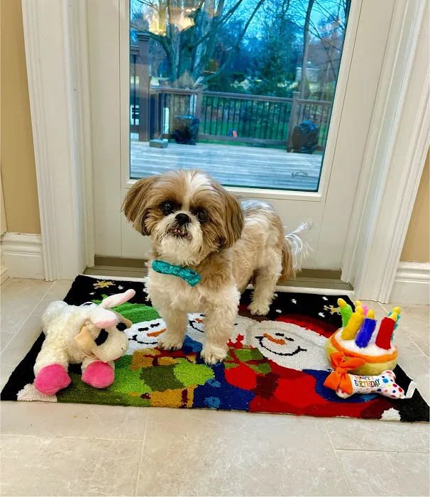 Animal Eye Center of New Jersey 12