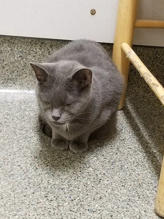 Animal Eye Center of New Jersey 12