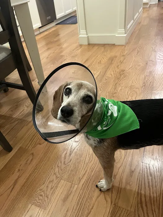 Animal Eye Center of New Jersey 12