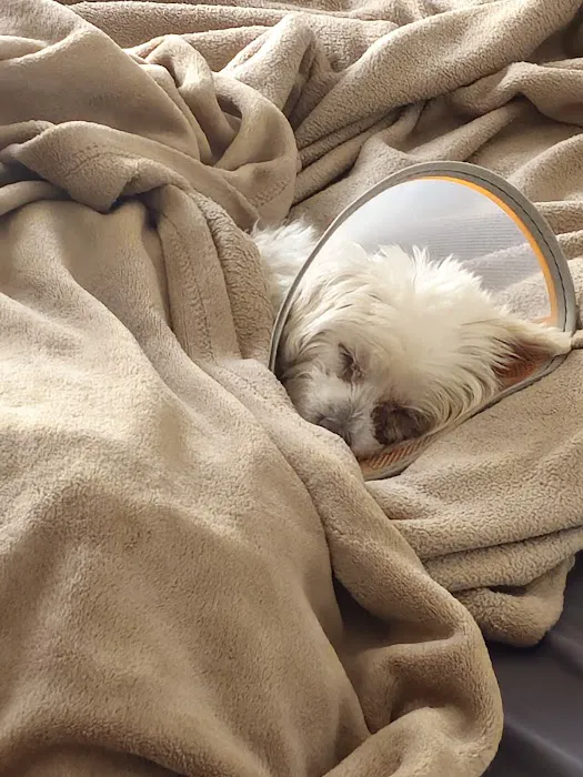 Animal Eye Center of New Jersey 12