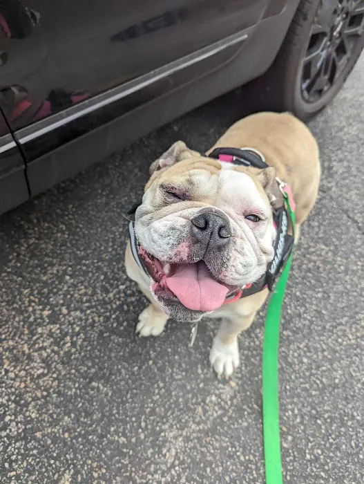 Animal Eye Center of New Jersey 12