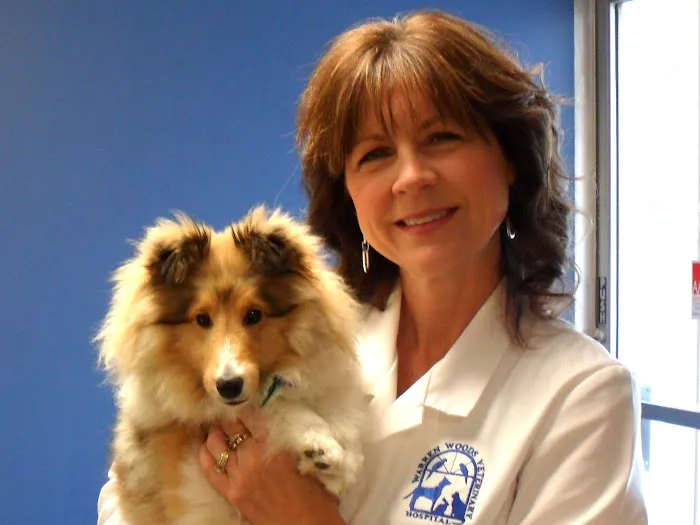 Warren Woods Veterinary Hospital 6