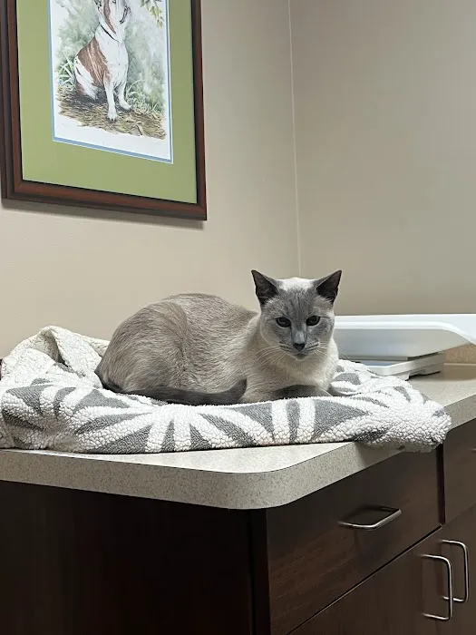 Warren Woods Veterinary Hospital 2
