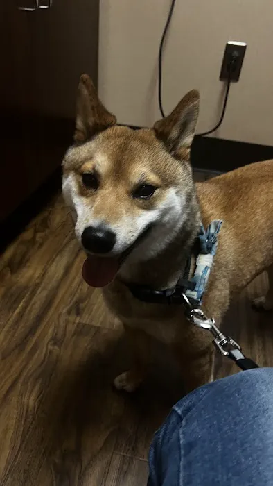 Warren Woods Veterinary Hospital 5