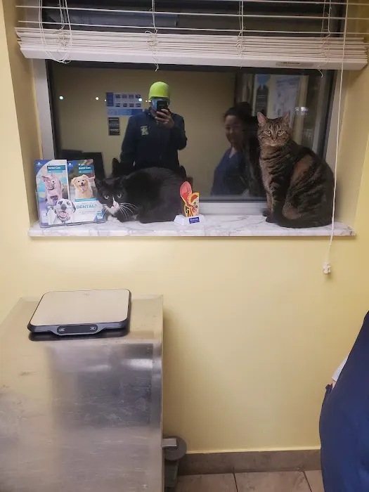 Hoover Road Animal Hospital 8