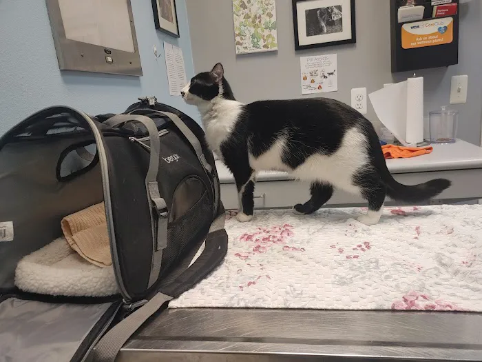VCA St. Clair Shores Animal Hospital 4