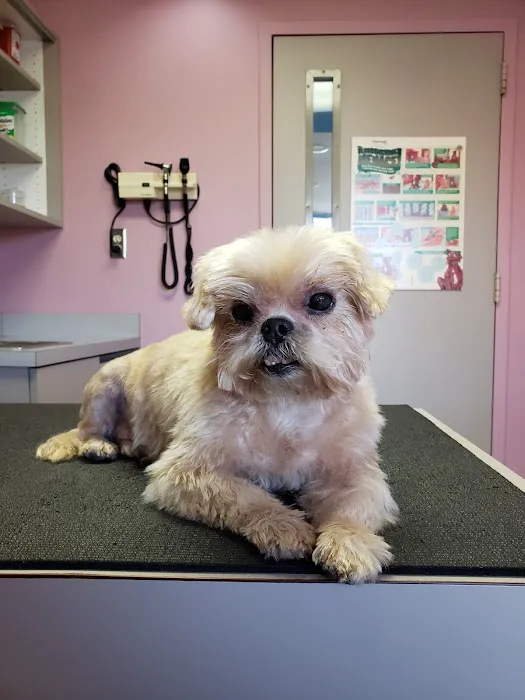 East Detroit Animal Hospital 1
