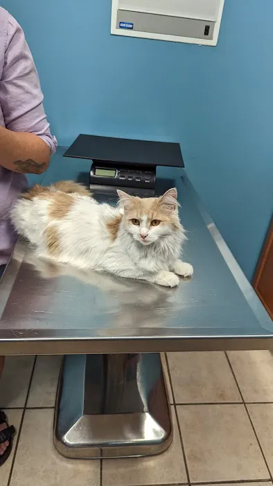 Eastpointe Animal Hospital 8