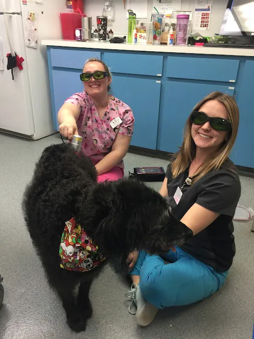 Moore Veterinary Hospital 8