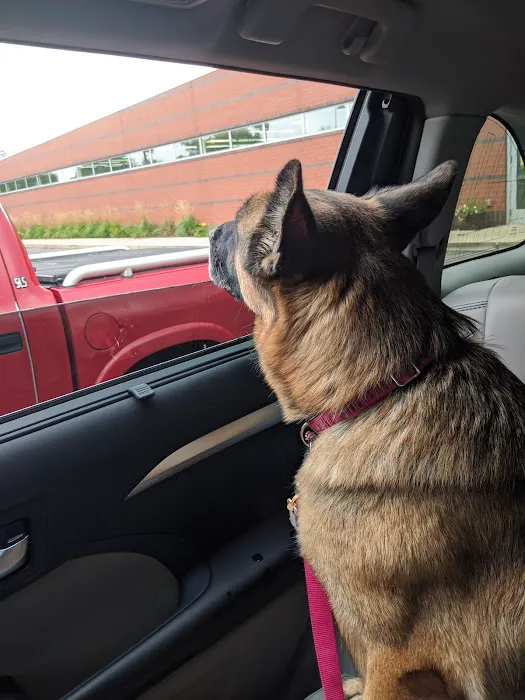 Animal Clinic Of Sterling Heights 1