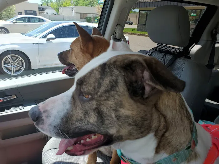 Animal Clinic Of Sterling Heights 4
