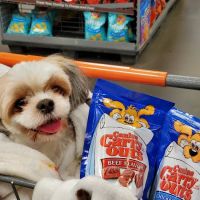 Pawsome Pet Care Nurses / Poulin Ventures LLC ico