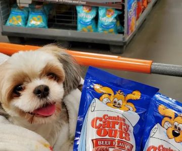Pawsome Pet Care Nurses / Poulin Ventures LLC