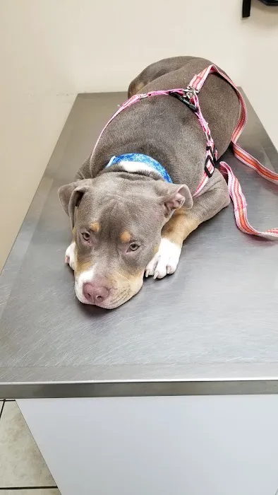 Critter Care Veterinary Clinic 2