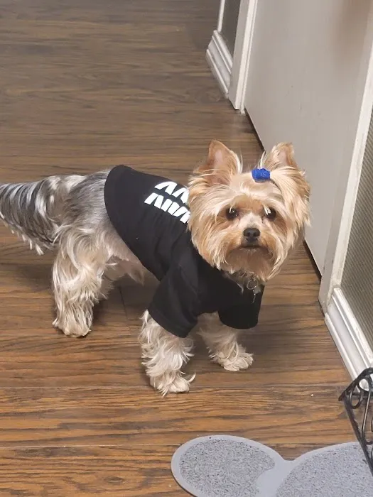 Critter Care Veterinary Clinic 3