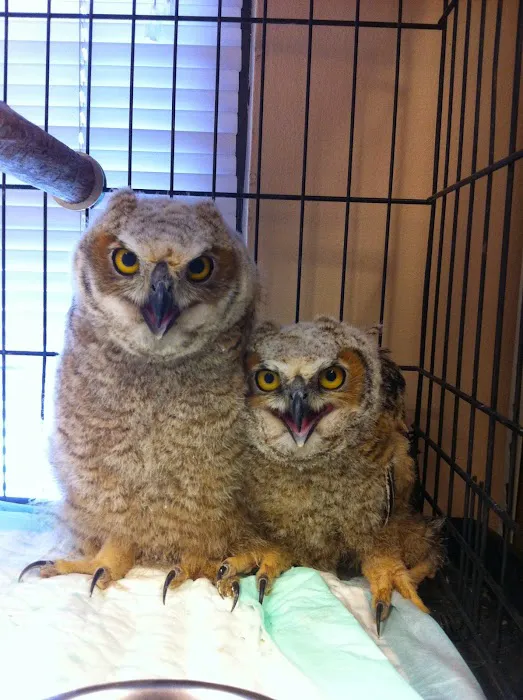 Critter Care Veterinary Clinic 5
