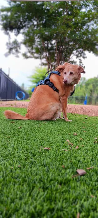 Rio Grande Veterinary Clinic 10