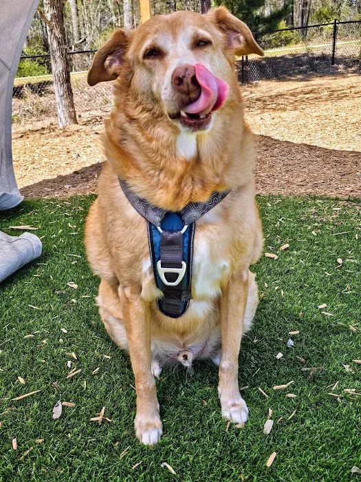 Rio Grande Veterinary Clinic 6