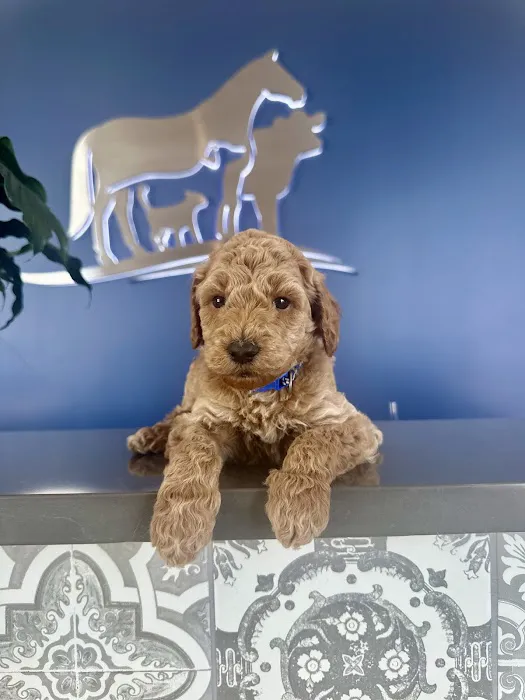 Rio Grande Veterinary Clinic 5