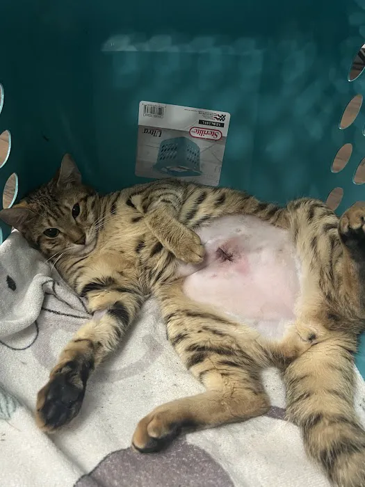 Rio Grande Veterinary Clinic 8